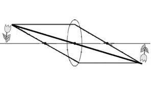 高校入試理科頻出の音・光について指導で使える重要問題を確認しよう！