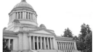 【社会科講師向け】政治の仕組みをわかりやすく教えるポイント