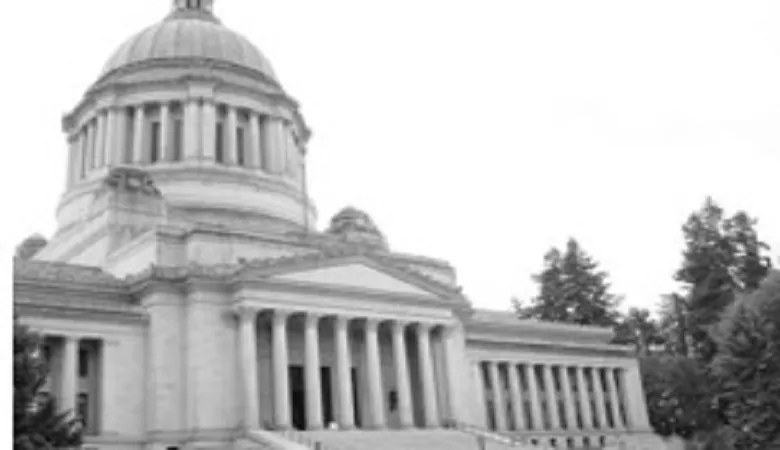 【社会科講師向け】政治の仕組みをわかりやすく教えるポイント