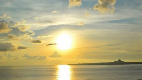 【国語講師必見】現代文を“論理”として捉える【ミクロ編】