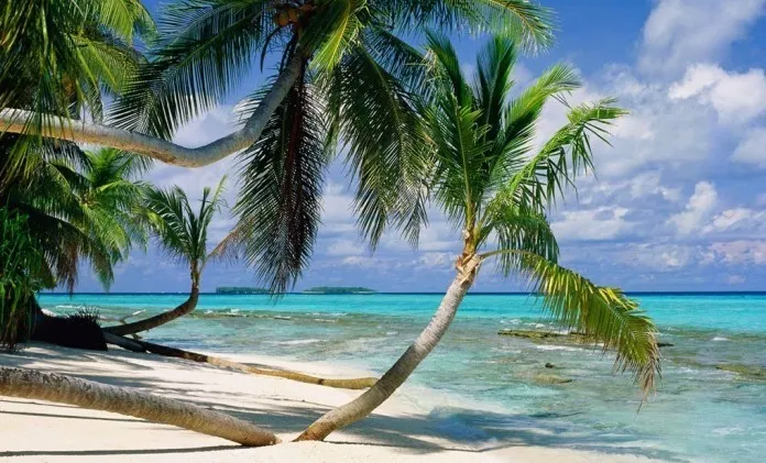 なんとなくでは終わらせない！！小論指導にも活かせる環境問題の原因と被害を復習①