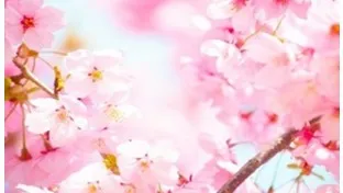 センター試験|数学1A　命題問題の解法①