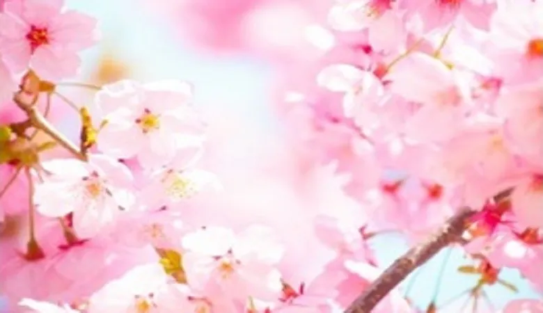 センター試験|数学1A　命題問題の解法①