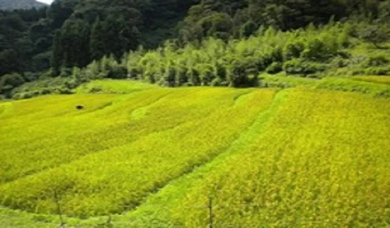 【入試頻出】古代の土地制度をどう教えるか～初期荘園が出来るまで～