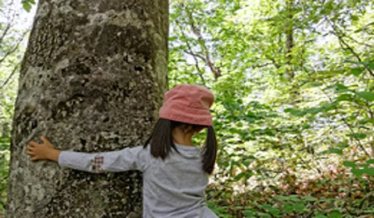  理科の最強指導法12　―植物編―　植物分野の指導法 