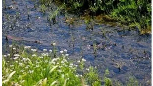 理科の最強指導法(6)　－地学編―　「流れる水のはたらきと川のでき方」