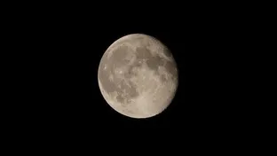 月の満ち欠けとその仕組みが図解で丸分かり！！【理科講師必見】