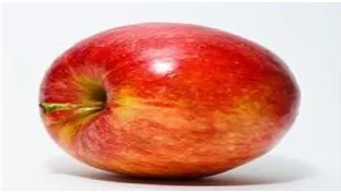 【英語講師注目】英会話における冠詞の重要性をおさえよう！