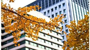 理科の最強指導法10　―地学編―　「地震」