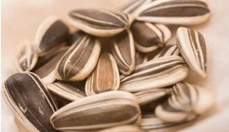 理科の最強指導法19　－植物編ー　「種子のつくり」