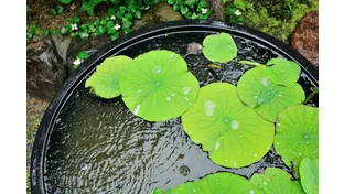 【必読】理科の最強指導法2　―地学編A―　「湿度計算」