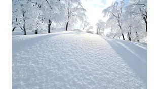 理科の最強指導法4　―地学編C―　「フェーン現象の計算対策と気象総合」