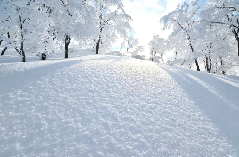 理科の最強指導法4　―地学編C―　「フェーン現象の計算対策と気象総合」