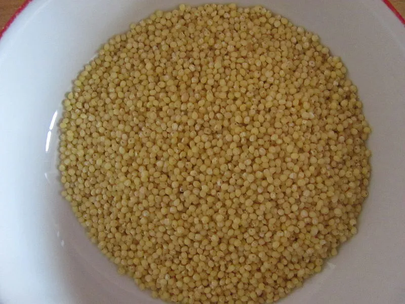 【国語講師必見】勘違いされがちなことわざ！「濡れ手であわ」を成り立ちから教えよう！